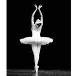 El poder de la actitud y la pasión que redefinen el éxito en la vida