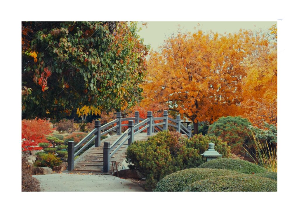 Otoño: una oportunidad para la renovación Interior